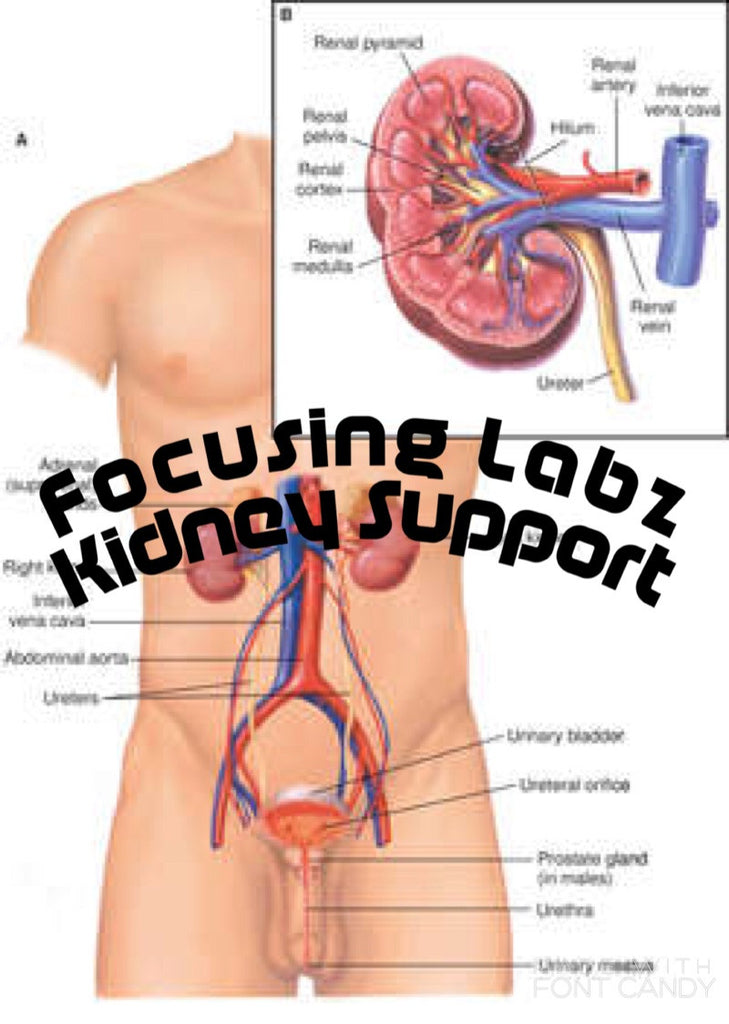 Kidney health supplement